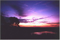 Sunrise, St. Marks Wildlife Refuge